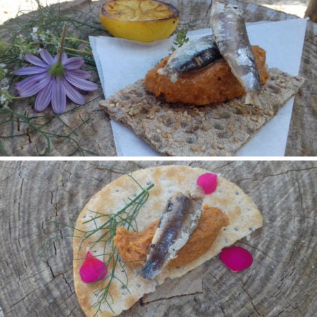 Sardinilla con romesco en tosta de pan de soja tipo snack y en torta de azúcar y anís