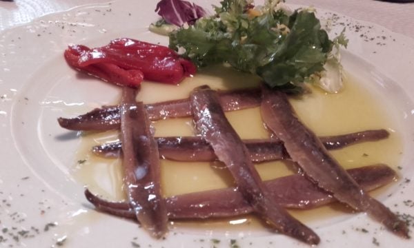 Anchoas en AOVE