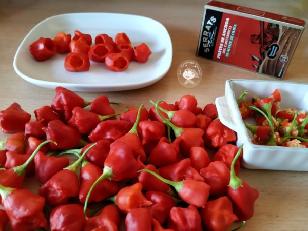 Pimientos campanilla o sombreritos de obispo