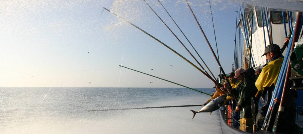 Arrantzales de bonito del norte, pesca sostenible.