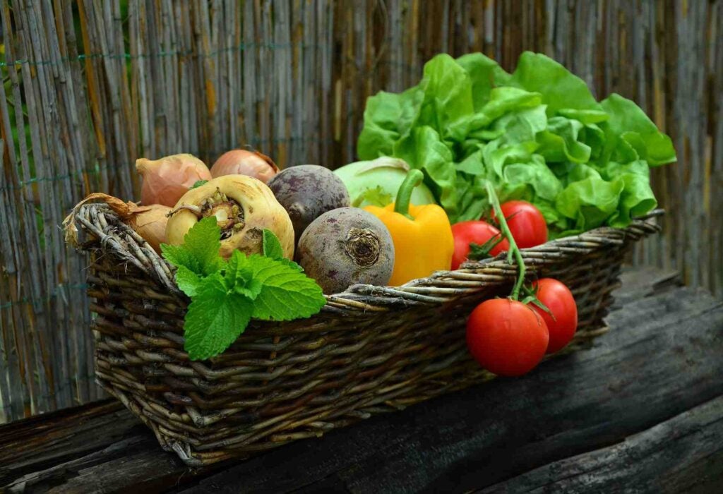 Cesta de verduras. Alimentos kilómetro 0, ecológicos, orgánicos, biológicos...