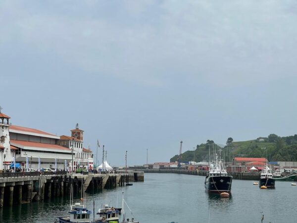 Puerto de Bermeo, salidas en barco