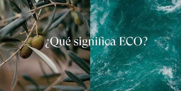 ¿Qué significa ECO?