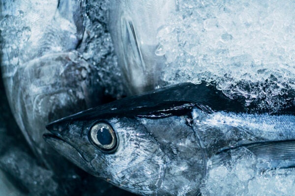 omega-3