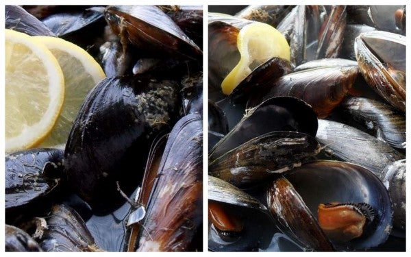 Mejillones con limón y un chorrito de vino blanco