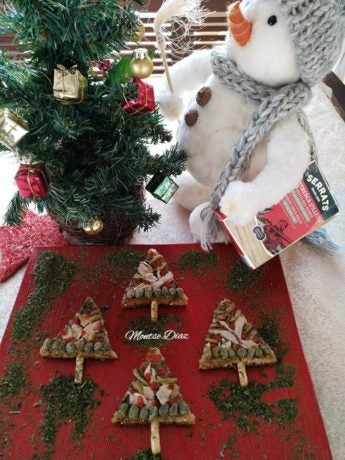Arbolitos navideños de bonito del norte