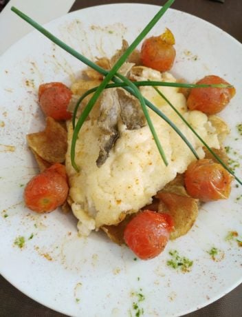Bonito del Norte gratinado al alioli